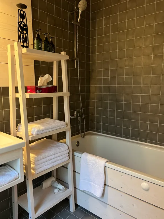 Гостевой дом среди березовой рощи с видом на поле и лес