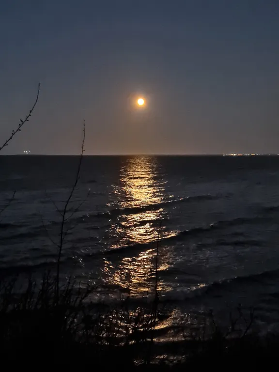 Уютная квартира у моря с сосновым бором