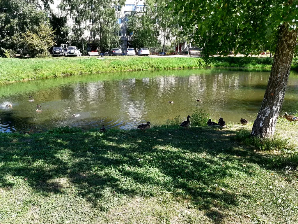 Уютная квартира в 5 минутах от центра города