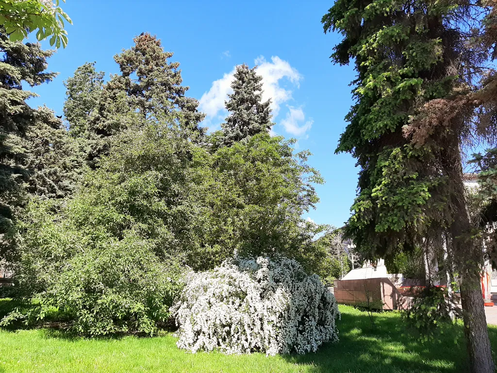 Квартира Видовая квартира с балконом над Волгой, центральной набережной и парком — Волгоград