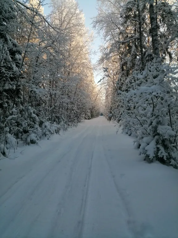 Дом Викинга