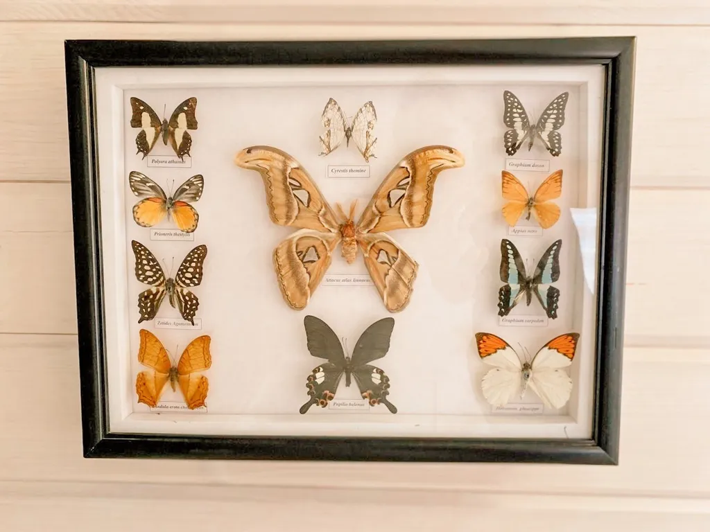 Дом носорога с камином