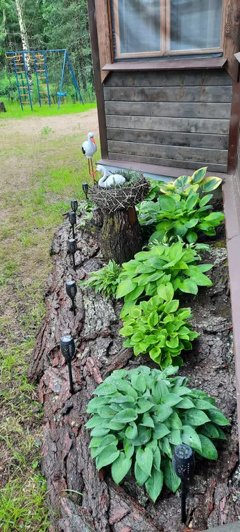 Домик в деревне