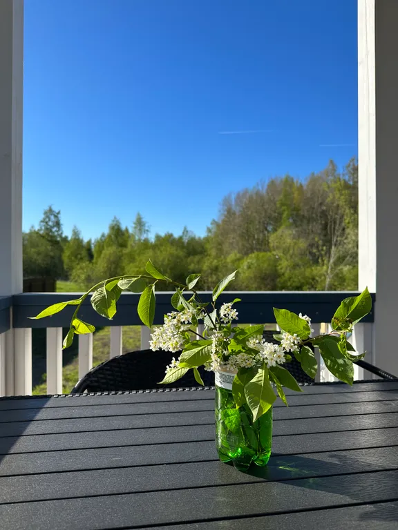 Коттедж Дом у леса с баней и чаном — Санкт-Петербург