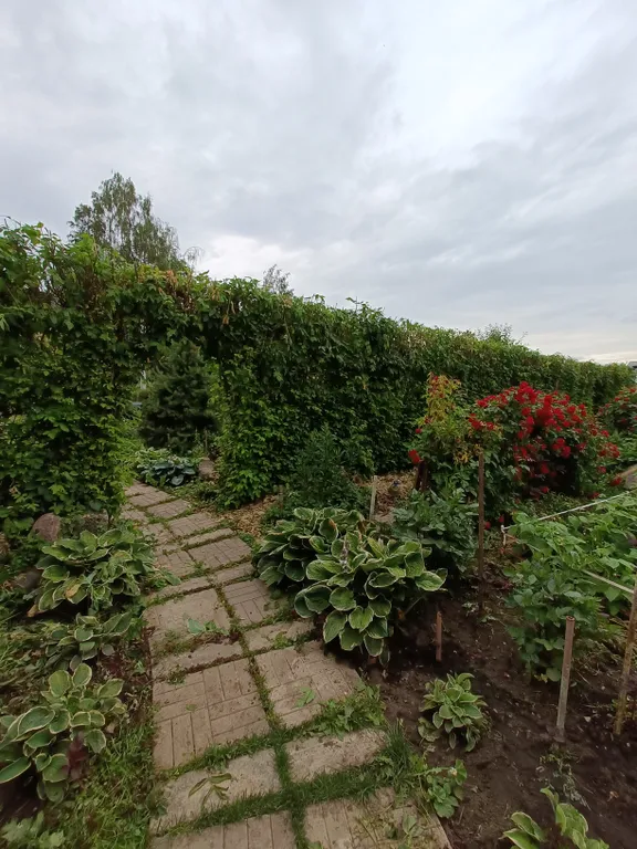 Квартира Уютная квартира в самом центре — Ярославль