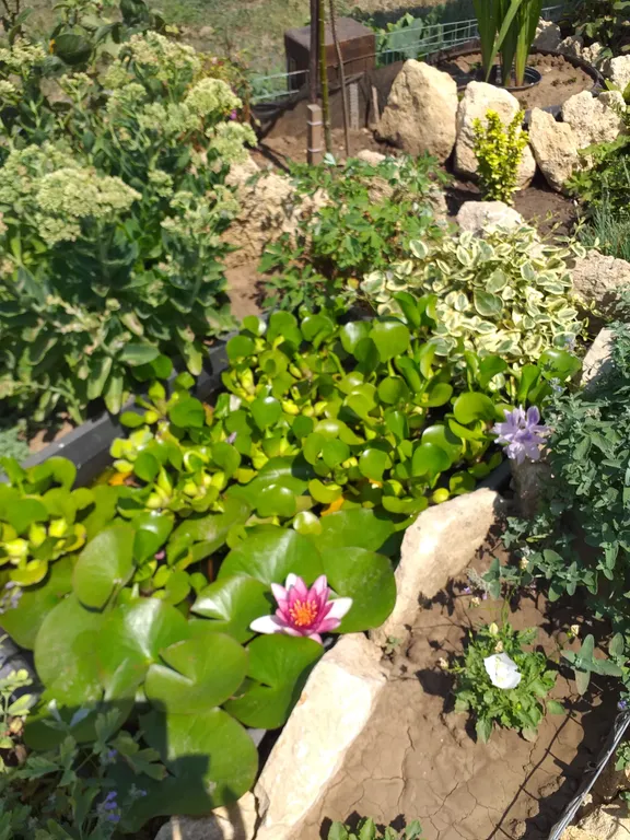 Квартира Комната с балконом и видом на море — Кучугуры