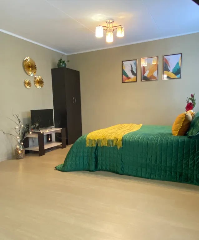 1-комнатная Квартира — аренда посуточно в Петрозаводск