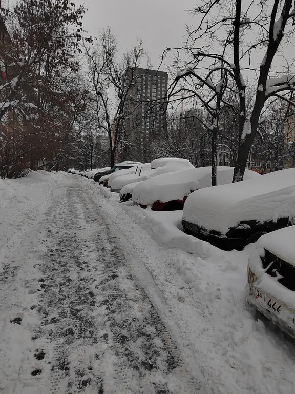 Квартира Уютная квартира рядом с метро и лесом — Москва