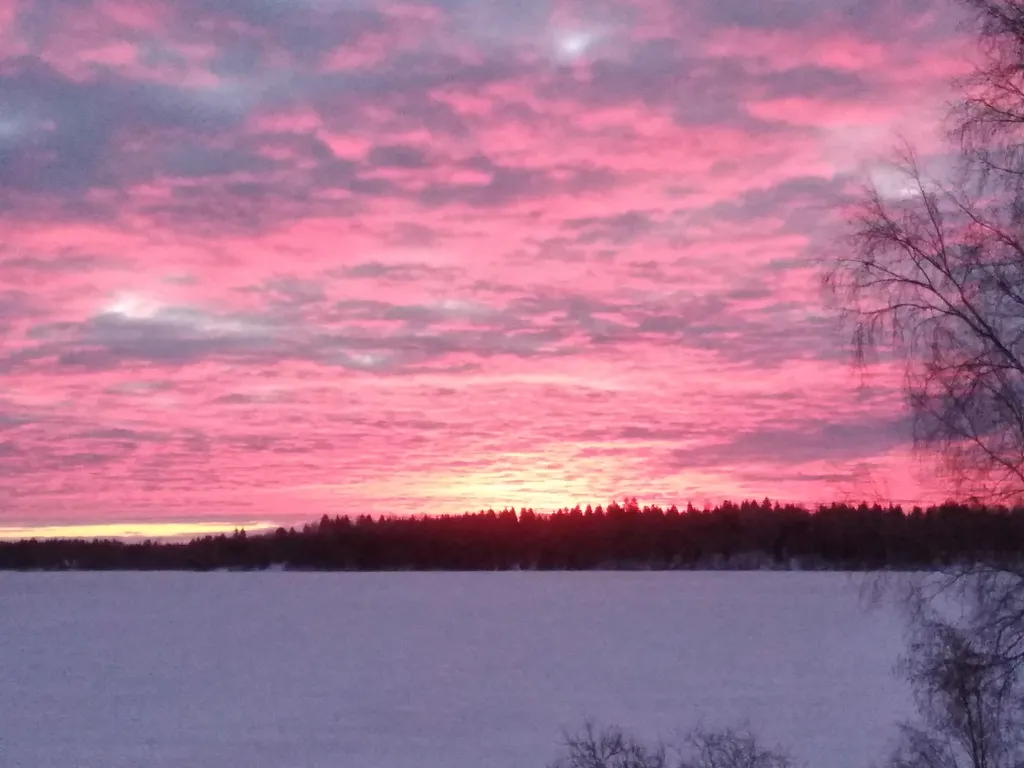 Три Галки Дом в саду