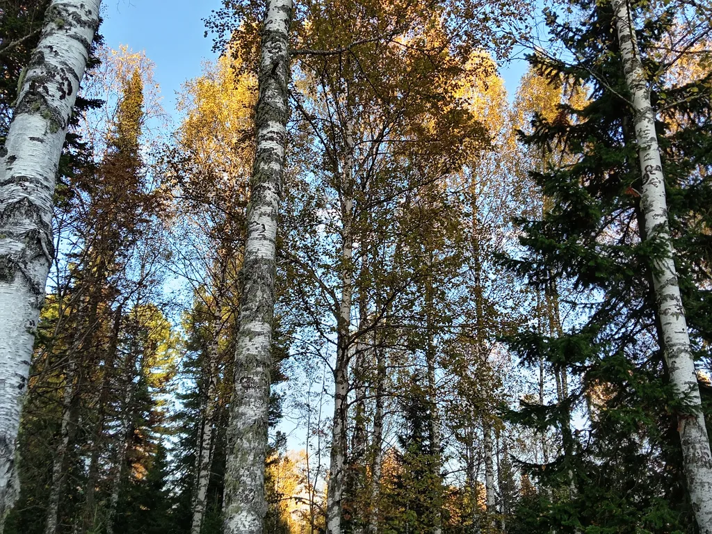 Гостевой дом премиум класса