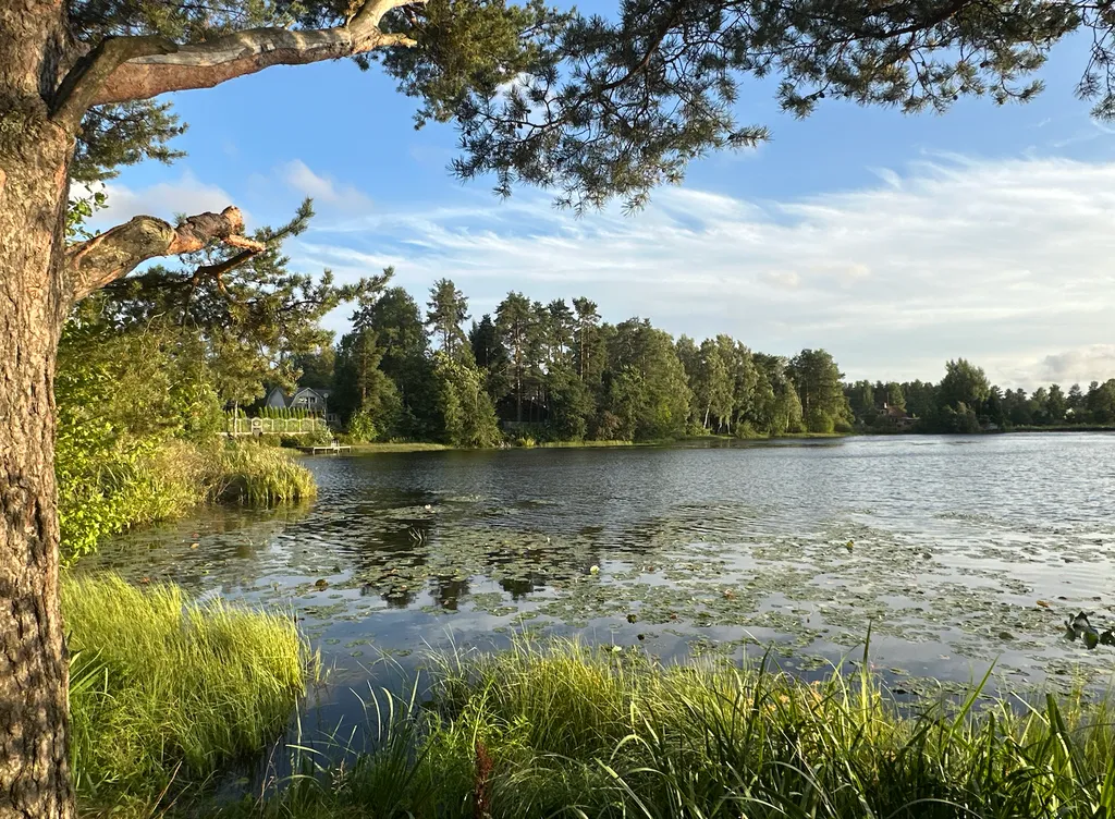 Уютный дом в Токсово