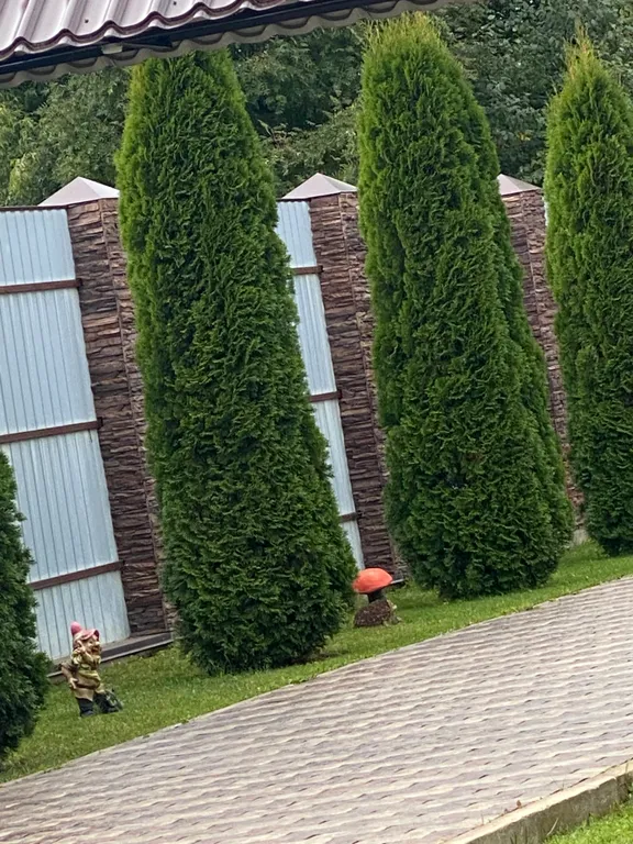 Уютный Дом Шале для семейного отдыха или в компании близких друзей