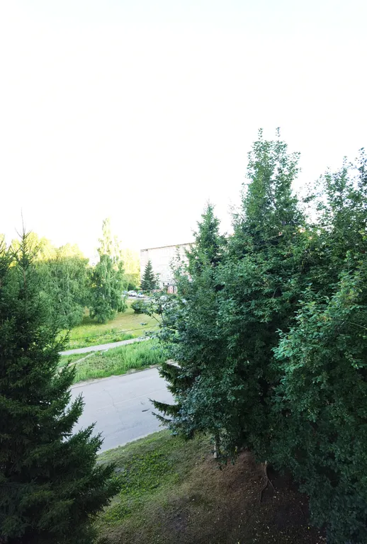 Квартира в стиле 2D рисунок на выезде в Военный городок