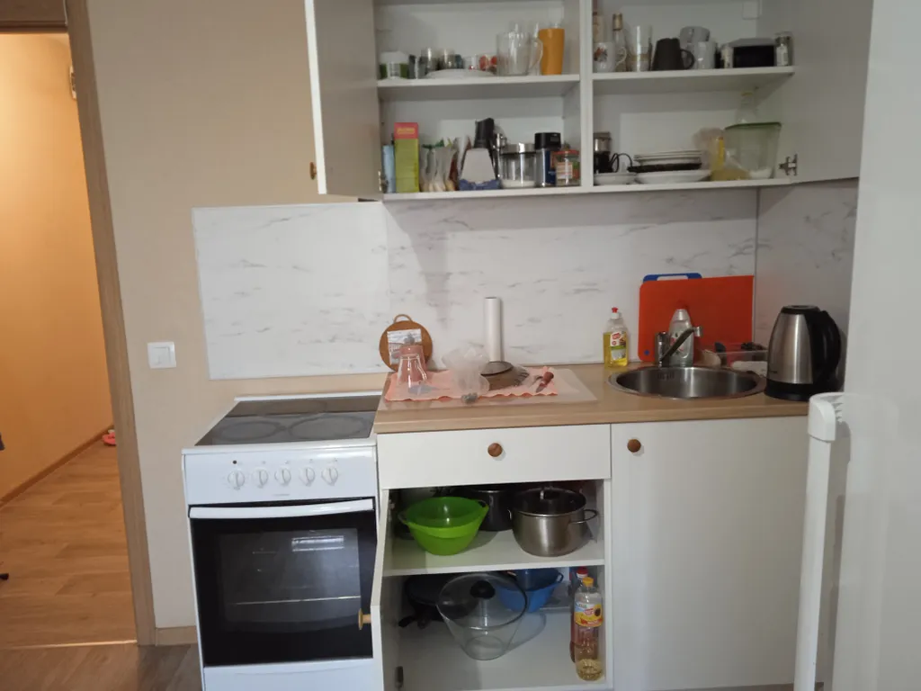 Квартира Квартира Уютная студия напротив НИИ им. Петрова — Песочный