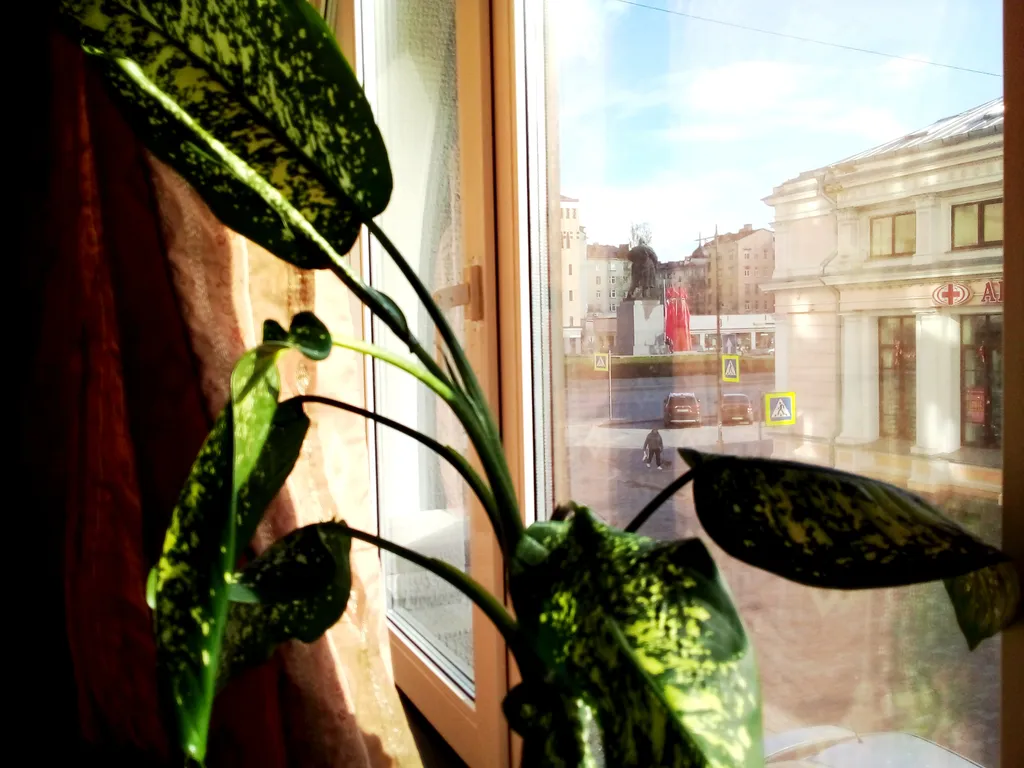 Солнечные апартаменты с панорамным окном и видом на Красную площадь