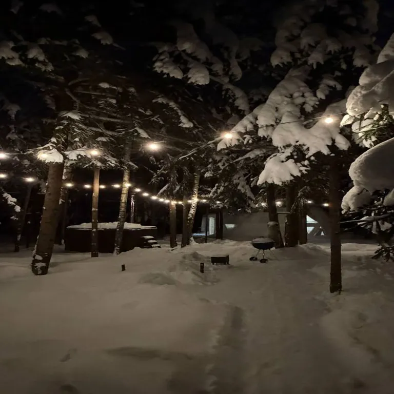 Дом для двоих в сосновом лесу