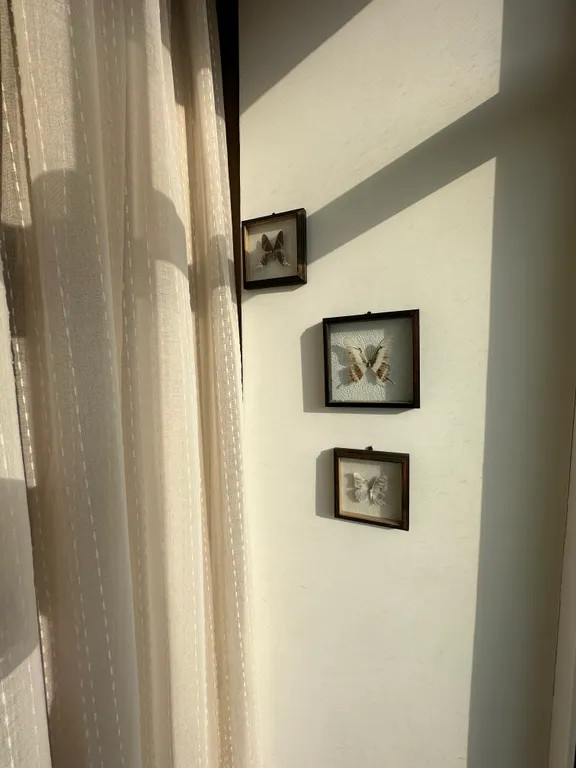 Тёплая квартира в сердце Владимира