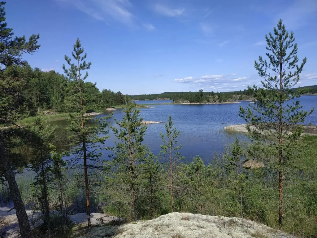 Дом на берегу ладожского озера, в живописном месте