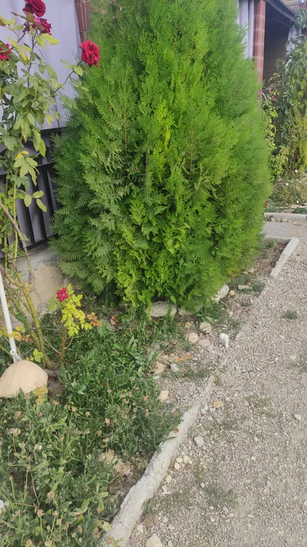 Студия с видом на лиман