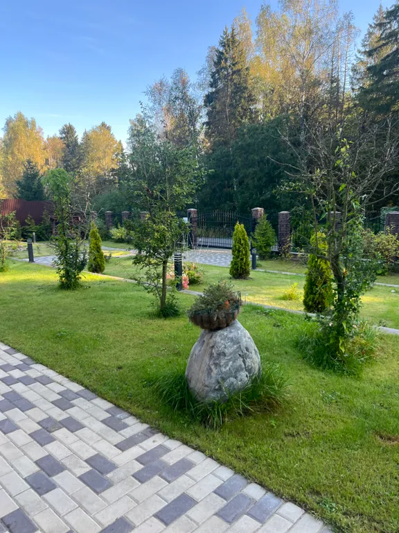 Уютный дом у леса