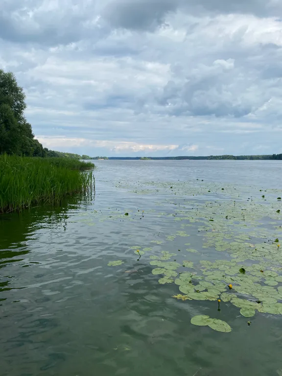 Уютный домик в лесу около реки