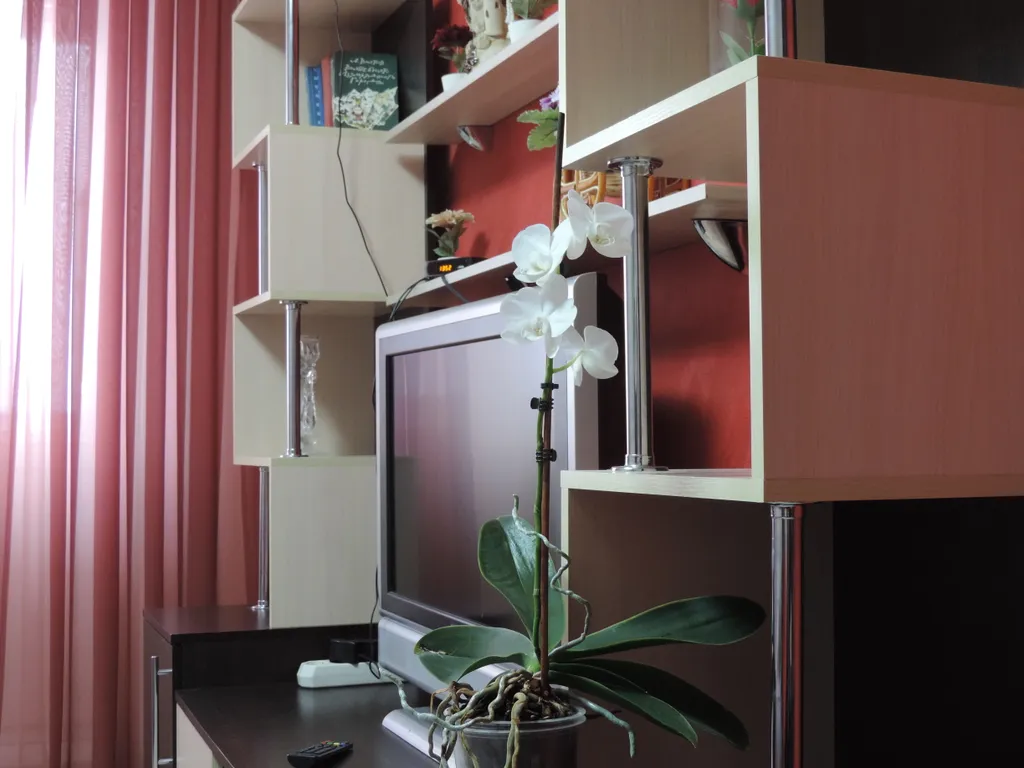 Комфортная, уютная квартира, в 5-ти минутах езды от центра города