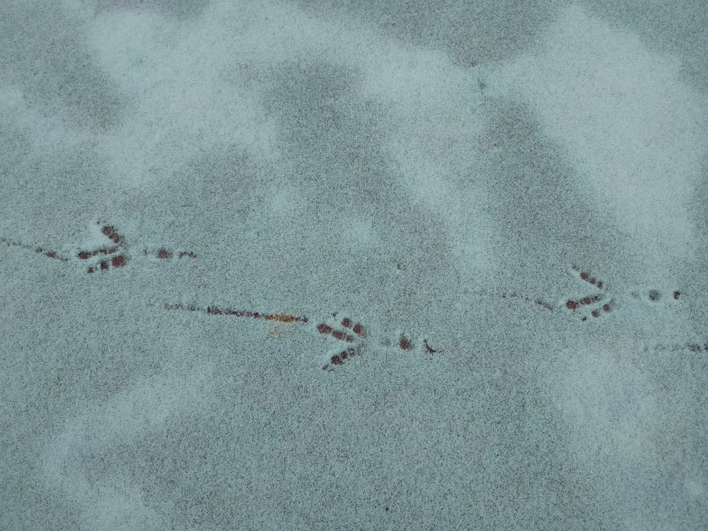 Дом на берегу озера без соседей