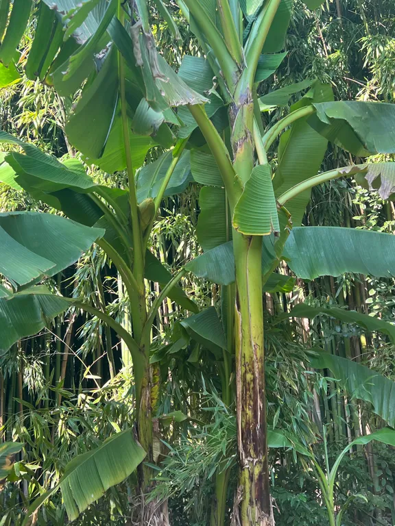 Новый дизайнерский европейский дом недалеко от моря, у Ялта интурист