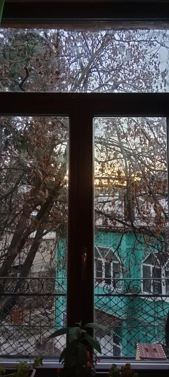 Двушка в старинном особняке у самого парка с двумя балконами