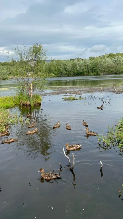 Дом у озера