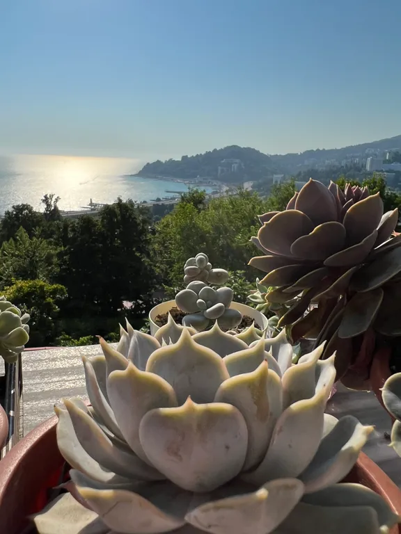 Дом с видом на море