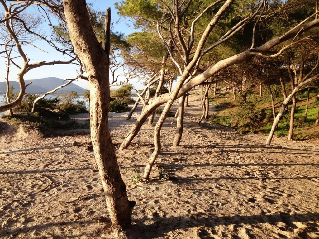 4-комнатная Квартира