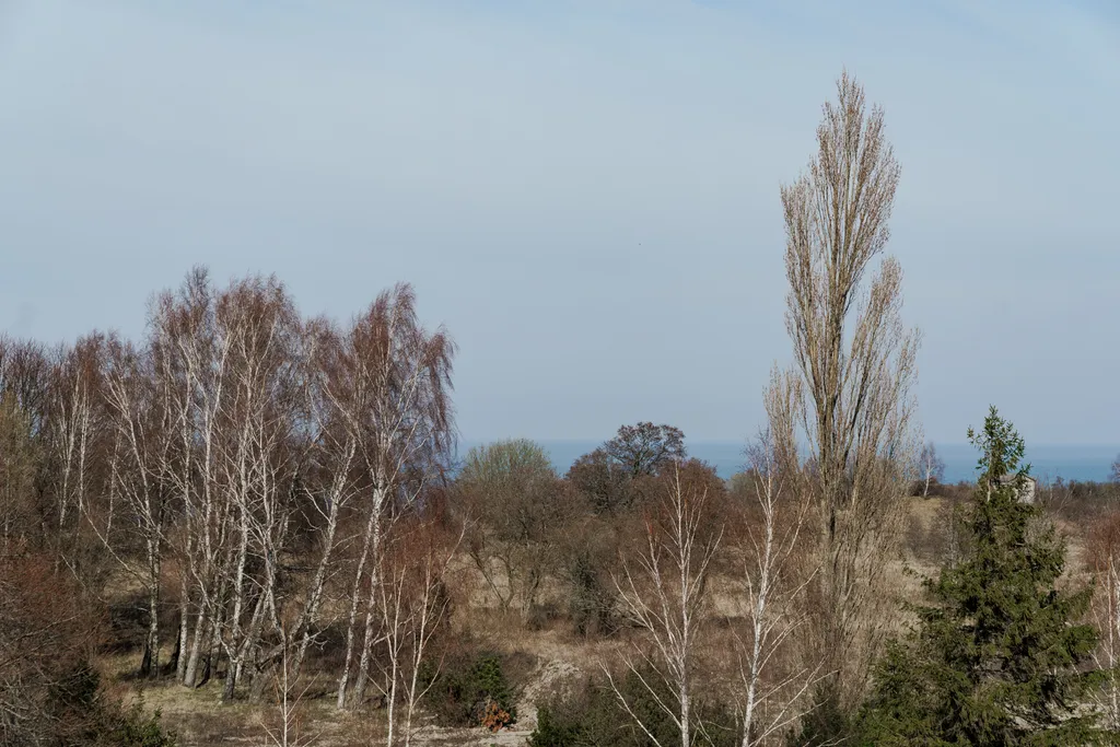 Квартира Квартира Apart-Deluxe Легенды моря: 1к.кв. в ЖК "Рыбное" у моря — Пионерский