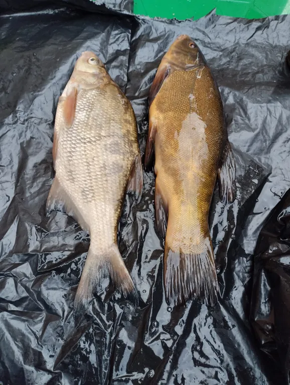 Уютный домик у реки