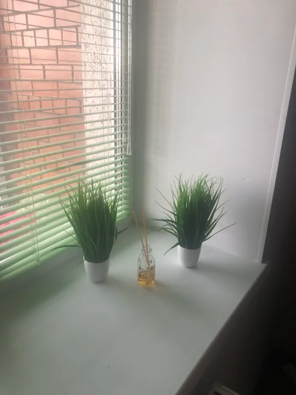 Просторная студия с видом на закат рядом с ТРЦ, локация - топ