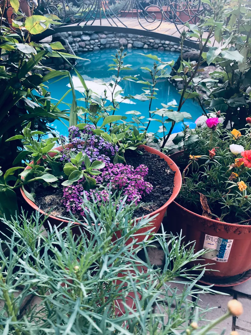 Фото