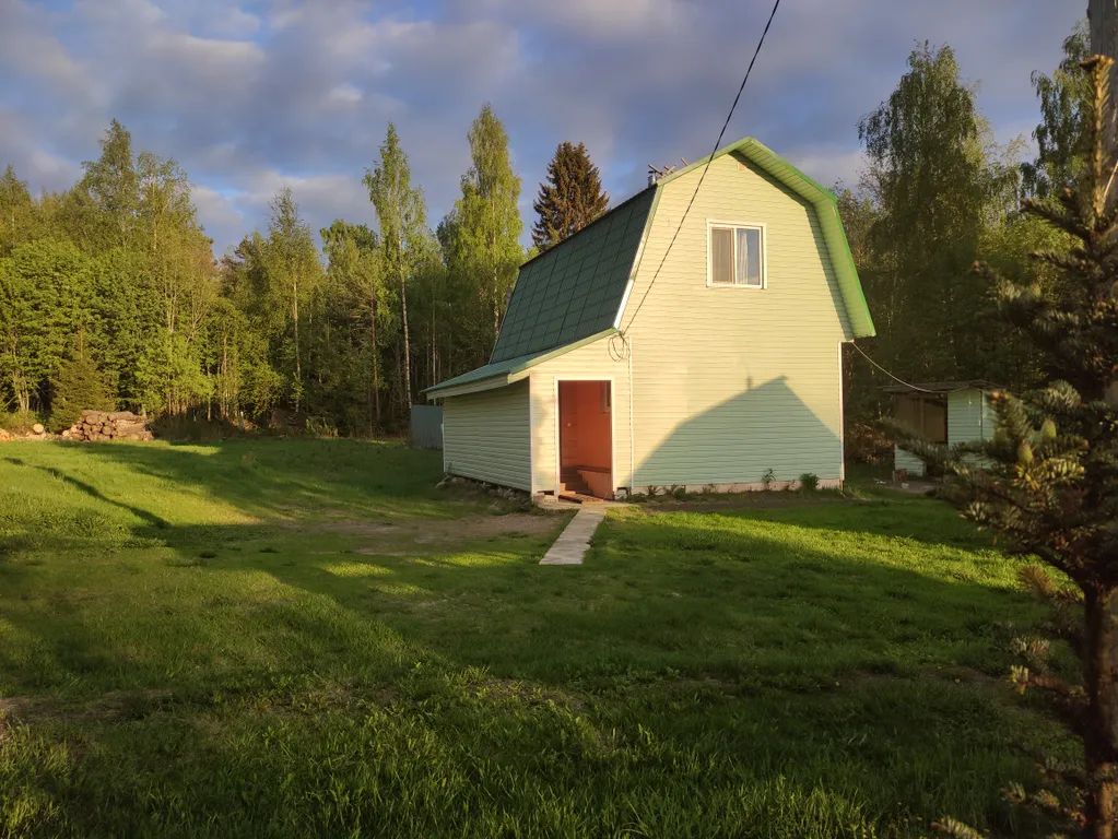 Киви со сливками