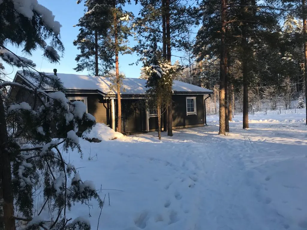 Haavejärvi - озеро мечты! Уютный дом на берегу озера в сосновом лесу