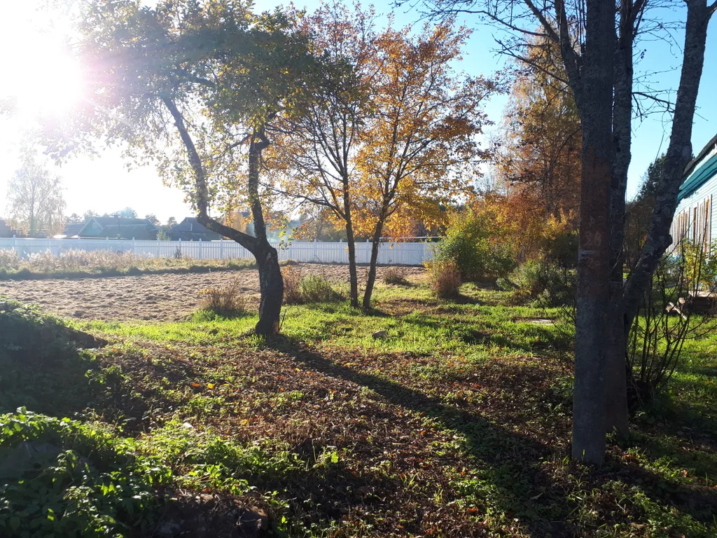 Гостевой дом Зеленьково
