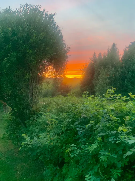 Дача в красивом живописном месте