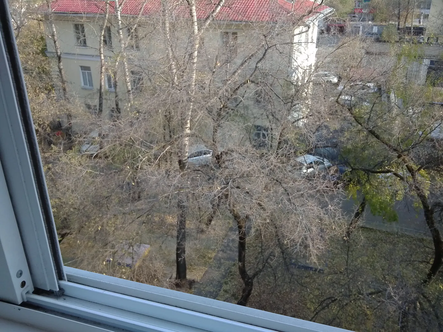 Вид из балкона в тихий зеленый двор