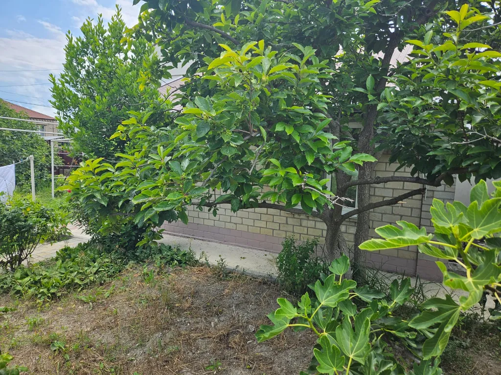 Дом в долине вязов