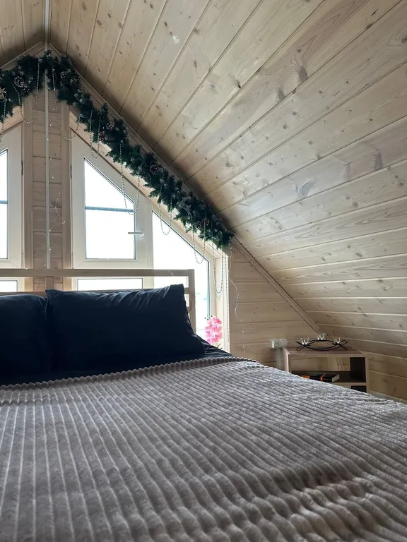 Коттедж Уютный барнаус для романтического и семейного отдыха за городом — Шишкино