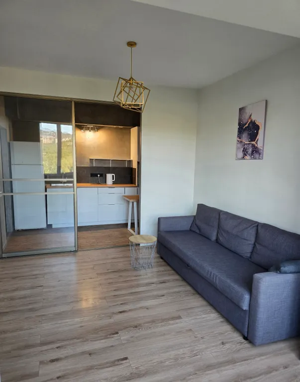 Роскошные апартаменты рядом с парком горького и видом на горы