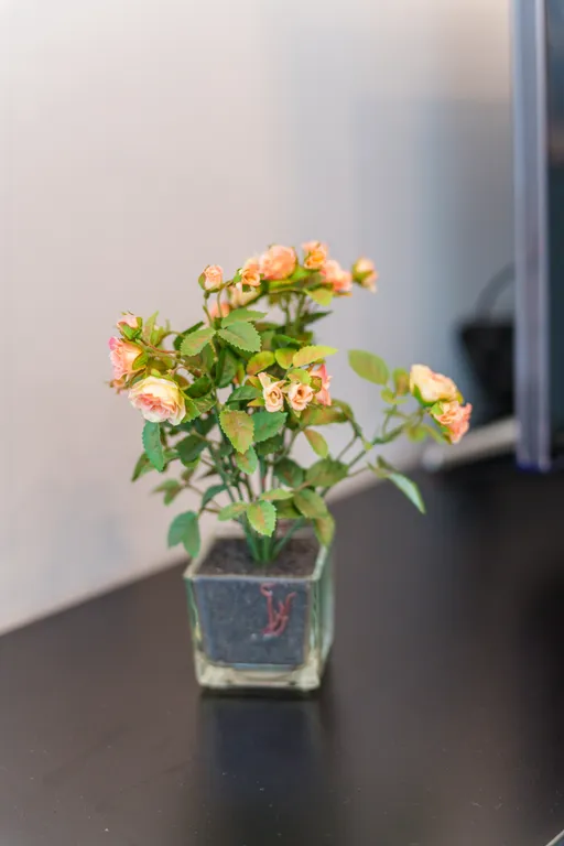 Квартира Стильные апартаменты в центре в районе Амалиенау — Калининград