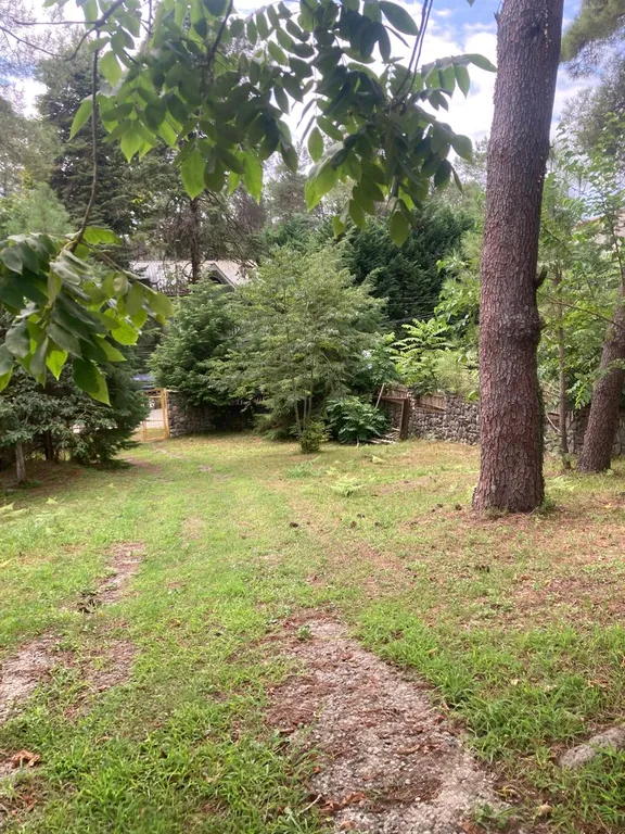 Дом для большой такой компании