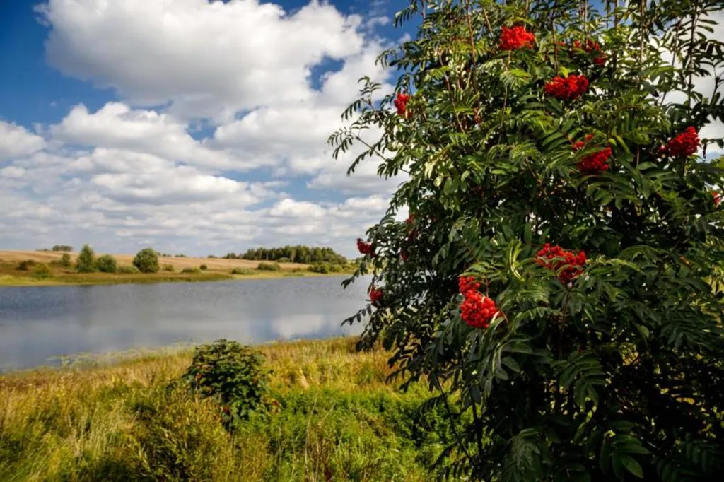 Милый домик в деревне, с видом на озеро