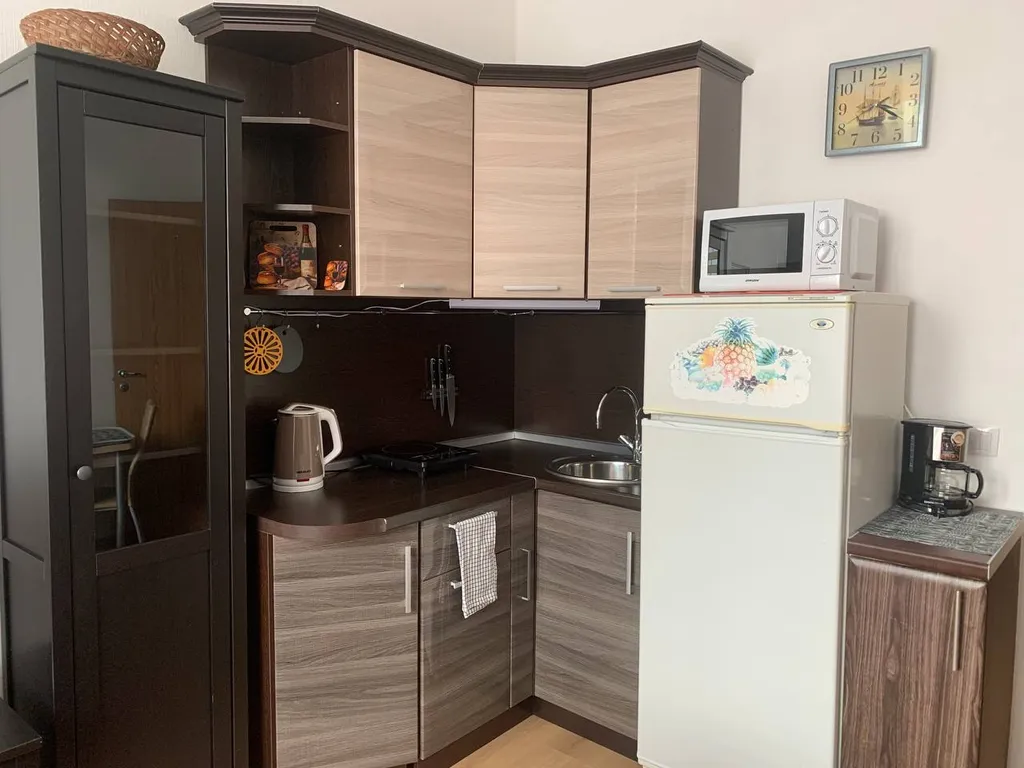 Квартира Квартира Живи в Песочном рядом с НИИ Петрова/Гранова/Напалкова — Песочный