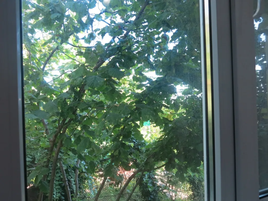 Коттедж 1-комнатный Дом — Сочи