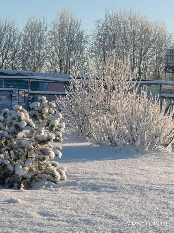 Коттедж Домик хоббита — Синковицы